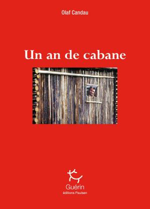 Cover of the book Un an de cabane by Frederic Flamant