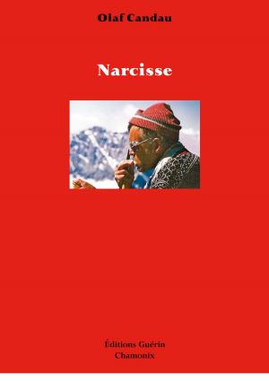 Cover of the book Narcisse by M T McGuire