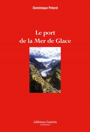 Cover of the book Le Port de la Mer de Glace by Alex Honnold, David Roberts