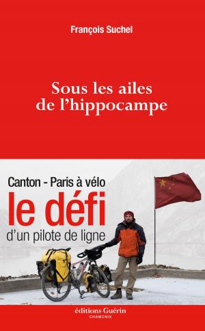 Cover of the book Sous les ailes de l'hippocampe by Frederic Flamant