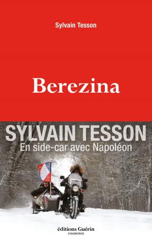 Book cover of Berezina