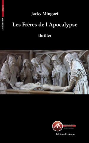 Cover of the book Les Frères de l'Apocalypse by Jean-François Thiery