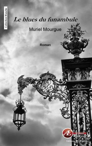 Cover of the book Le blues du funambule by Jean-Marc Dubois