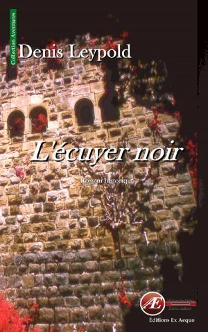 Cover of the book L'écuyer noir by Sandrine Gauvin