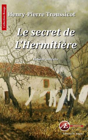Cover of the book Le secret de l'Hermitière by Liliane Avram