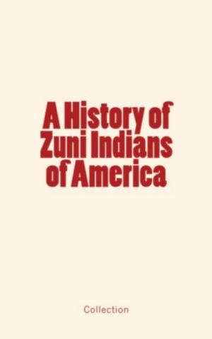 Cover of the book A History of Zuni Indians of America by Fernand Papillon