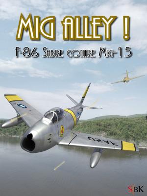 bigCover of the book Mig Alley! by 