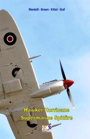 Book cover of Hawker Hurricane - Supermarine Spitfire