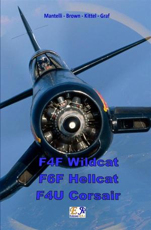 Book cover of F4F Wildcat - F6F Hellcat - F4U Corsair