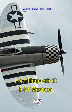 Cover of the book P-47 Thunderbolt - P-51 Mustang by François Arnaud - Malika Lakon-Tay