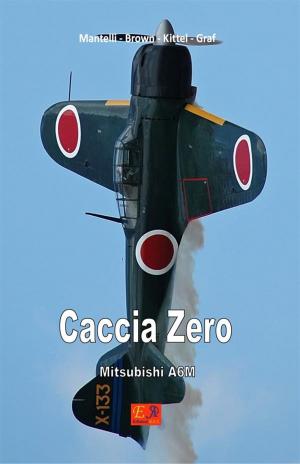 Book cover of Caccia Zero