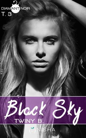 Cover of the book Black Sky - tome 3 by Angel Arekin