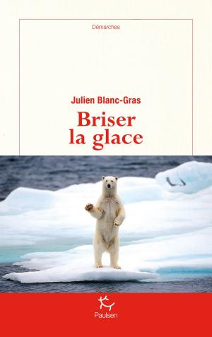 Cover of the book Briser la glace by Fabien Clauw, Emmanuel de Fontainieu