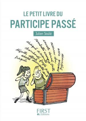 Cover of the book Le Petit Livre du participe passé by Philippe CHAVANNE