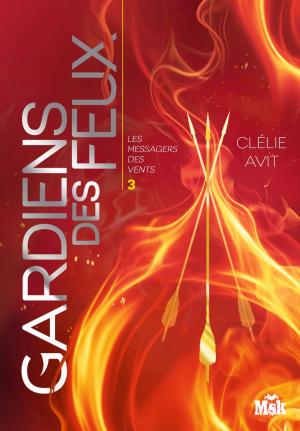 Cover of Gardiens des feux