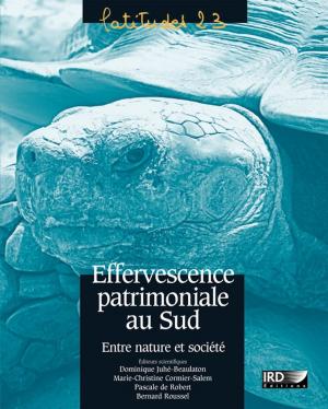 Cover of the book Effervescence patrimoniale au Sud by Collectif