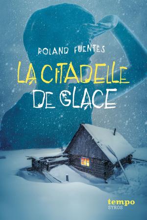 Cover of the book La citadelle de glace by Cathy Cassidy