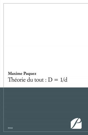 Cover of the book Théorie du tout : D = 1/d by Lionel Pradelier