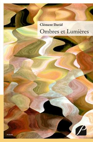Cover of the book Ombres et Lumières by Michèle Jourdan