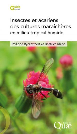 Cover of the book Insectes et acariens des cultures maraîchères en milieu tropical humide by Anthony J. Smith, Xavier Manteca I Vilanova