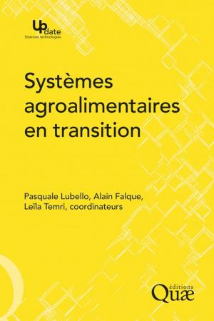 Cover of the book Systèmes agroalimentaires en transition by Louis Geli, Hélène Geli