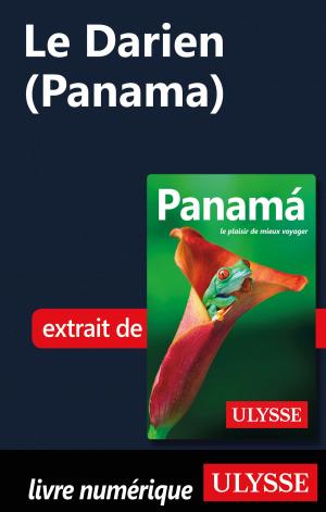 Cover of the book Le Darien (Panama) by Collectif Ulysse