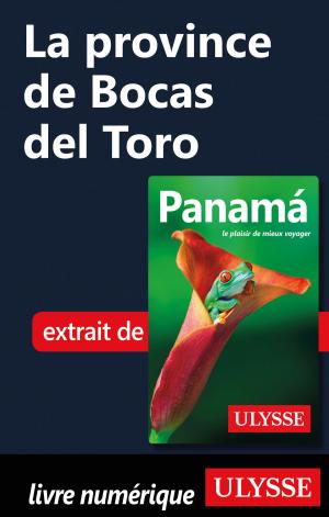 Cover of the book La province de Bocas del Toro by Marc Rigole