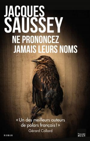 Cover of the book Ne prononcez jamais leurs noms by Sylvain Forge