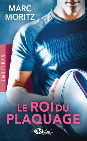 Cover of the book Le Roi du plaquage by Lorelei James