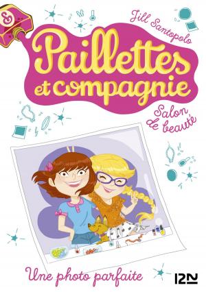 Cover of the book Paillettes et compagnie - tome 6 : Une photo parfaite by Daniel H. WILSON