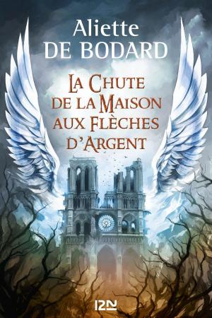 Cover of the book La chute de la Maison aux Flèches d'Argent by Erin HUNTER