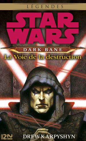 Cover of the book Star Wars - Dark Bane : La voie de la destruction by Dan Dillard