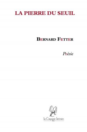 Cover of the book La Pierre du Seuil by Christian Lépron