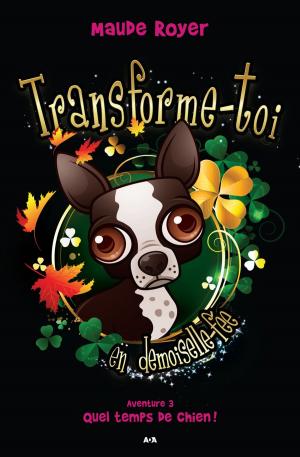 Cover of the book Transforme-toi en demoiselle-fée by Amanda Scott