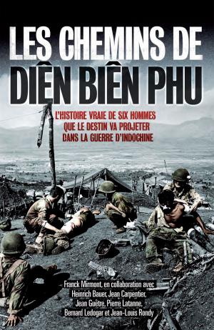 Cover of the book Les chemins de Diên Biên Phu by Robert O'Neill