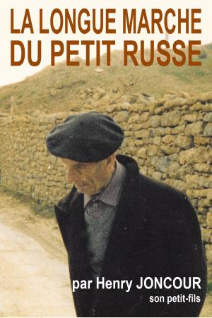 Cover of the book La longue marche du petit russe by Nick Stokes