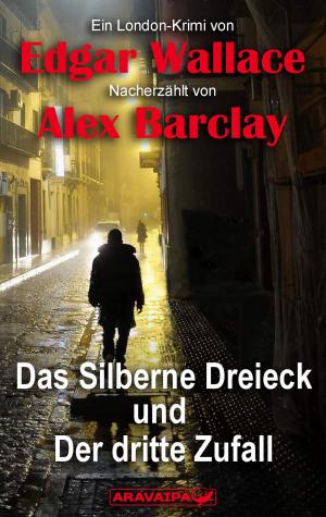 Book cover of Das Silberne Dreieck und Der dritte Zufall