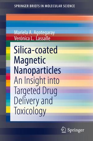 Cover of the book Silica-coated Magnetic Nanoparticles by Anne Walling