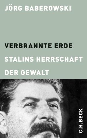 Cover of the book Verbrannte Erde by Jochen Schmidt
