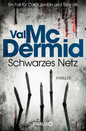 Cover of the book Schwarzes Netz by Jamie Sinclair