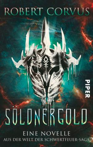 Cover of the book Söldnergold by Derek Alan Siddoway