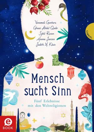 Cover of the book Mensch sucht Sinn by Frank Rodgers
