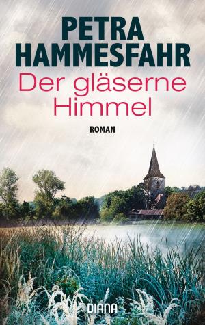 Cover of the book Der gläserne Himmel by Léa Linster