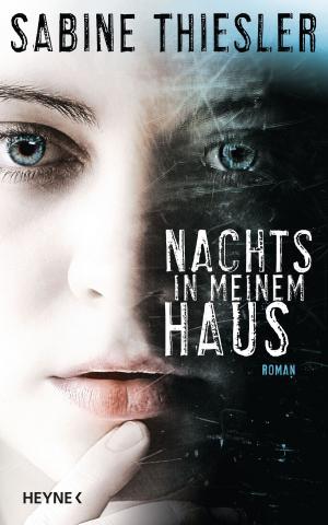 Cover of the book Nachts in meinem Haus by Barbara Ann Derksen