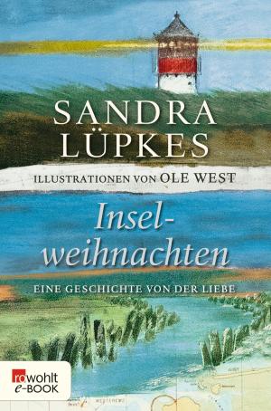 Cover of the book Inselweihnachten by Sebastian Schnoy