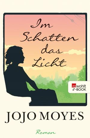 Cover of the book Im Schatten das Licht by Günter Lucks, Harald Stutte