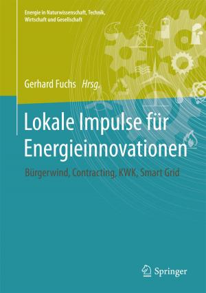 Cover of the book Lokale Impulse für Energieinnovationen by Gerhard Hilt, Peter Rinze