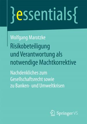 Cover of the book Risikobeteiligung und Verantwortung als notwendige Machtkorrektive by Peter Olsthoorn