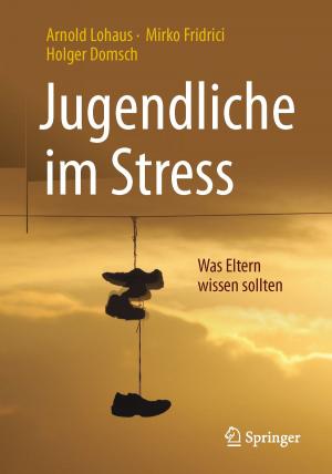 Book cover of Jugendliche im Stress
