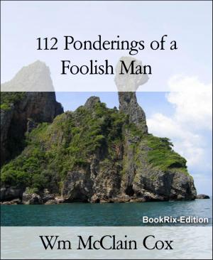 Cover of the book 112 Ponderings of a Foolish Man by Jürgen Köditz